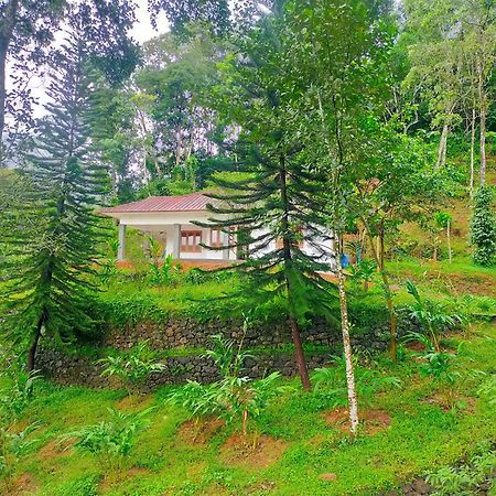 Anivilla Holiday Home Kunjithanny Anachal Exterior foto