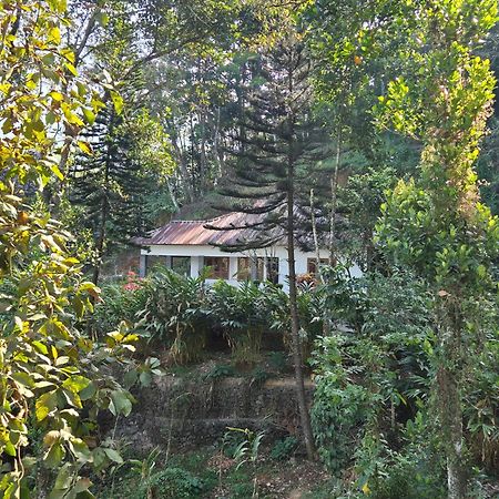Anivilla Holiday Home Kunjithanny Anachal Exterior foto